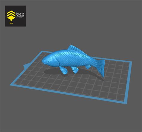 fish 3d model|CGTrader .
